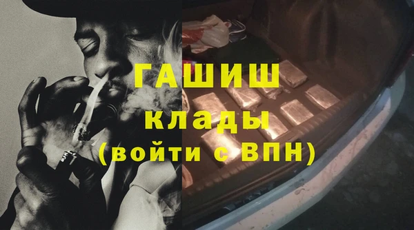 СК Алексин