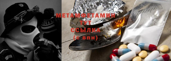 крисы Алзамай