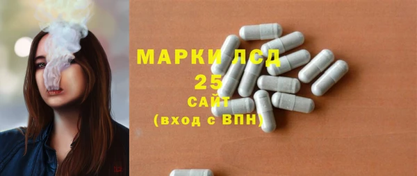 СК Алексин