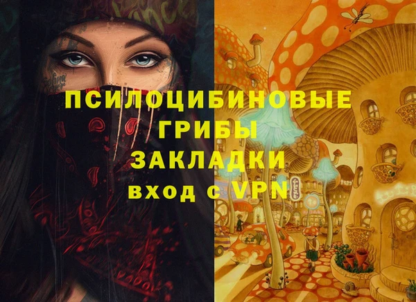 крисы Алзамай