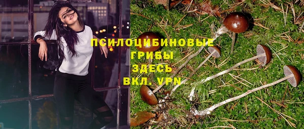 mix Абаза