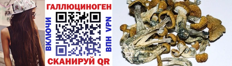 Галлюциногенные грибы GOLDEN TEACHER  купить   Кызыл 